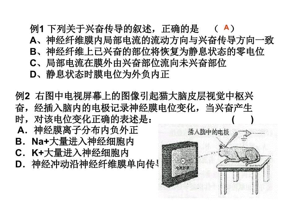 江苏省南京市东山外语国际学校高三生物《第二章第234节复习简集》课件_第5页