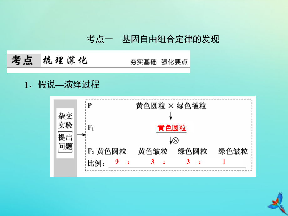 2020版高考生物一轮复习第14讲基因自由组合定律课件新人教版.ppt_第4页