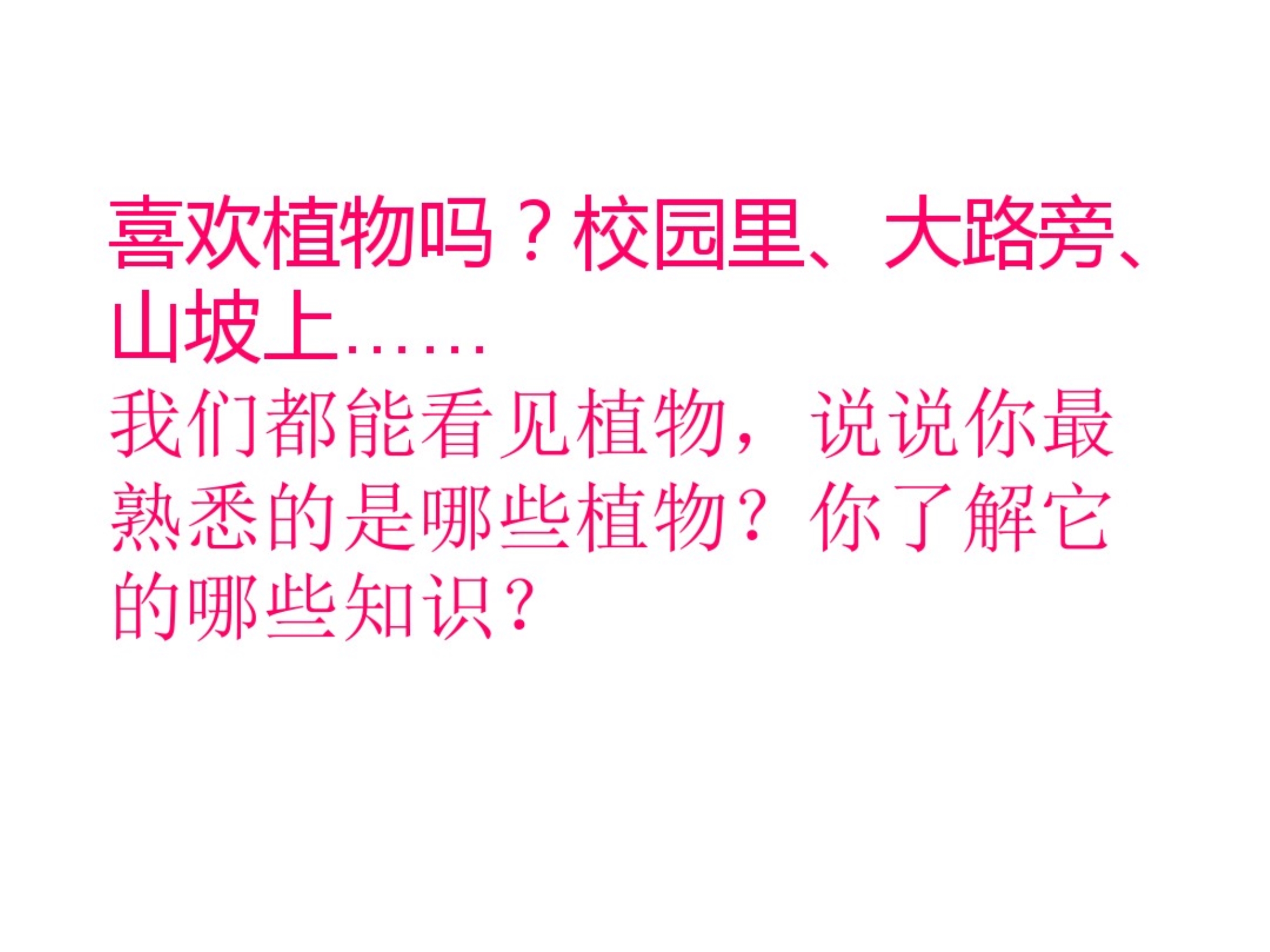 {强力推荐}教科版小学科学三年级上册第一单元《我看到了什么》课件_第2页