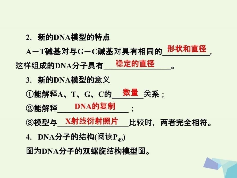 2017_2018年高中生物第三章基因的本质第2节DNA分子的结构课件新人教版必修.ppt_第5页