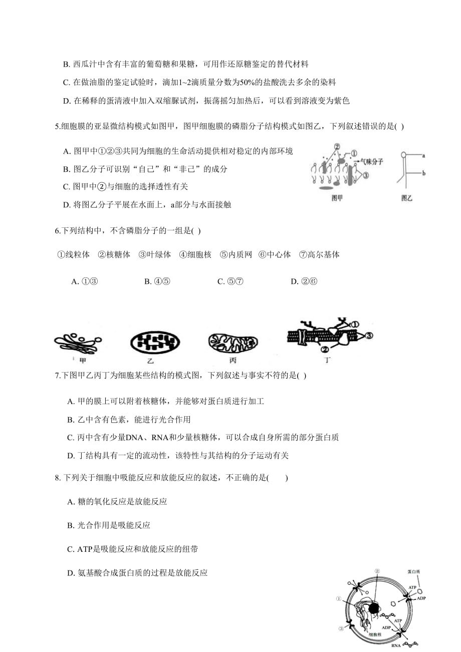 浙江省丽水市发展共同体（松阳一中、青田中学等）2019-2020学年高一下学期期中考试生物试题 Word版含答案_第2页