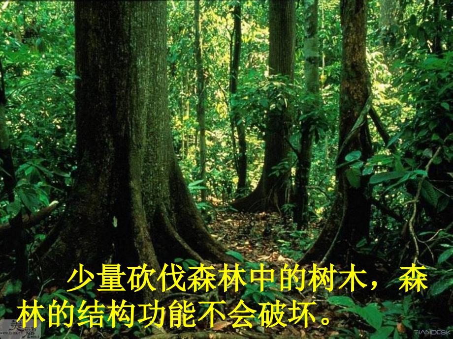 5.5《生态系统的稳定性》课件何树磊备课讲稿_第2页