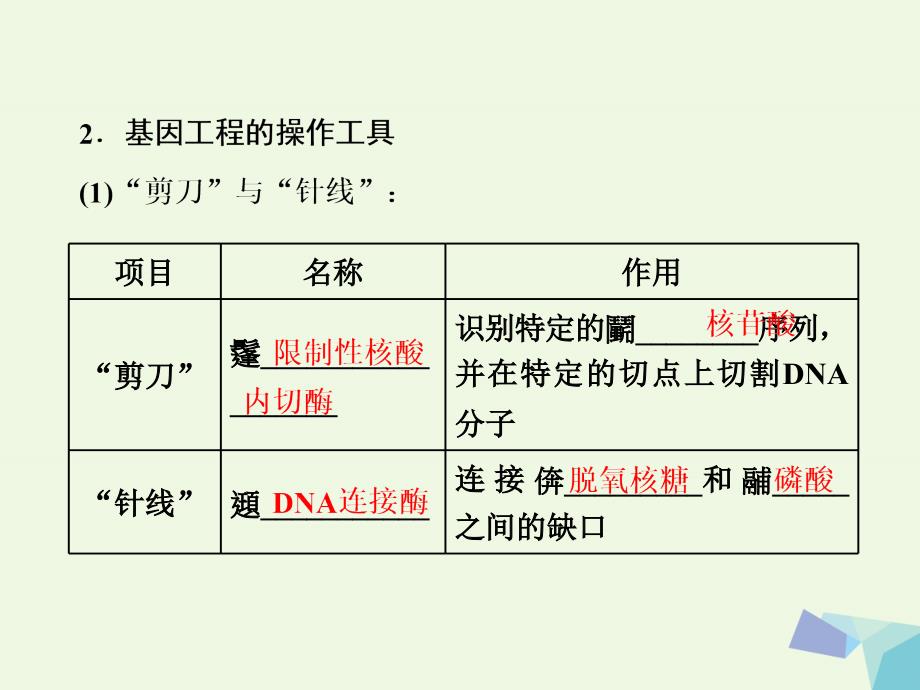 2017高中生物第6章从杂交育种到基因工程第2节基因工程及其应用课件新人教版必修.ppt_第3页