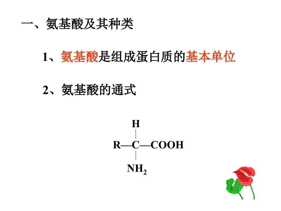 生命活动的主要承担者蛋白质 PPT课件 人教版_第5页