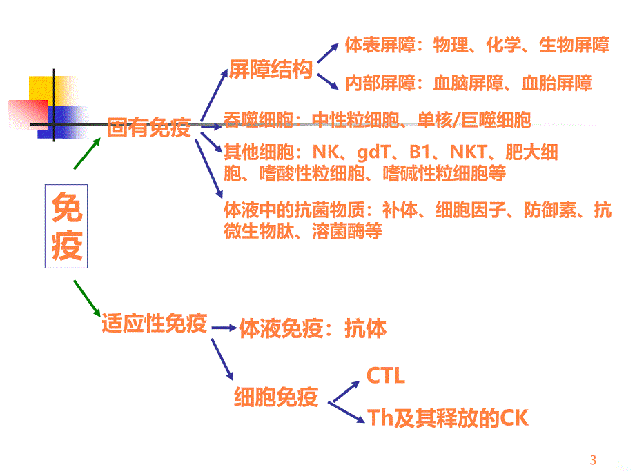 《医学免疫学教学课件》免疫学总复习ppt课件_第3页