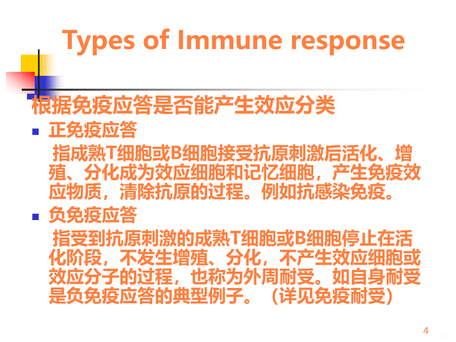 《医学免疫学教学课件》免疫学总复习ppt课件_第4页