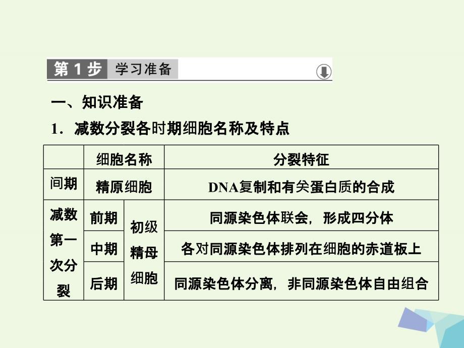 2017_2018年高中生物第二章基因和染色体的关系第1节减数分裂和受精作用第2课时课件新人教版必修.ppt_第2页