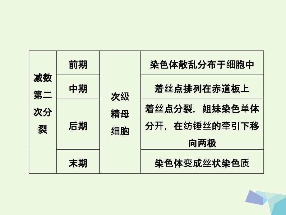 2017_2018年高中生物第二章基因和染色体的关系第1节减数分裂和受精作用第2课时课件新人教版必修.ppt_第3页