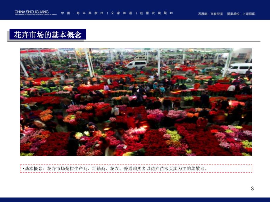 寿光市花卉市场调研分析PPT幻灯片课件_第3页