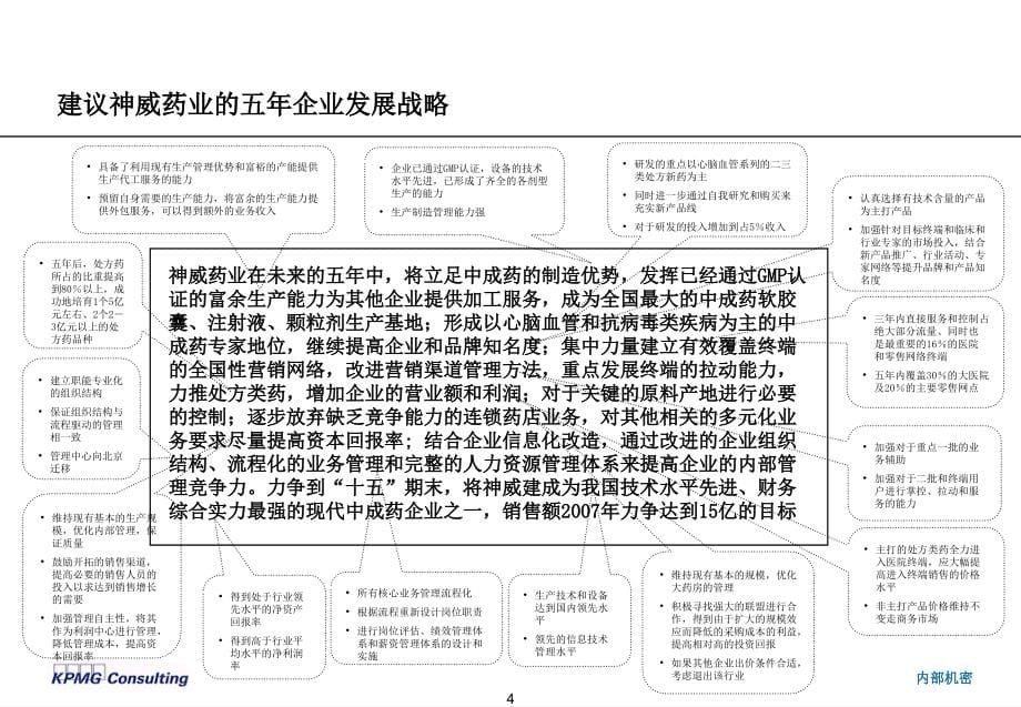 神威药业企业发展战略建议_第5页