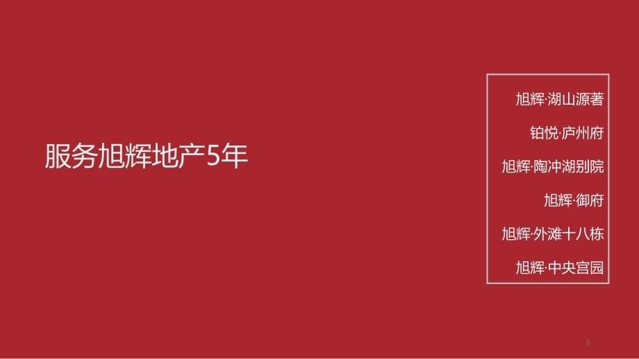 中国府策略定位与形象系统传播案PPT幻灯片课件_第5页