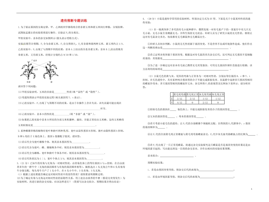 高中生物 遗传推断专题训练 新人教版必修2.doc_第1页