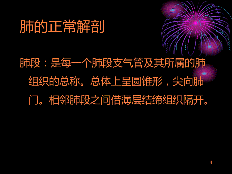 肺段及开口在CT上的定位ppt课件_第4页