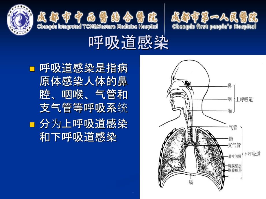呼吸道九联检病原体检测及其临床意义PPT课件_第2页