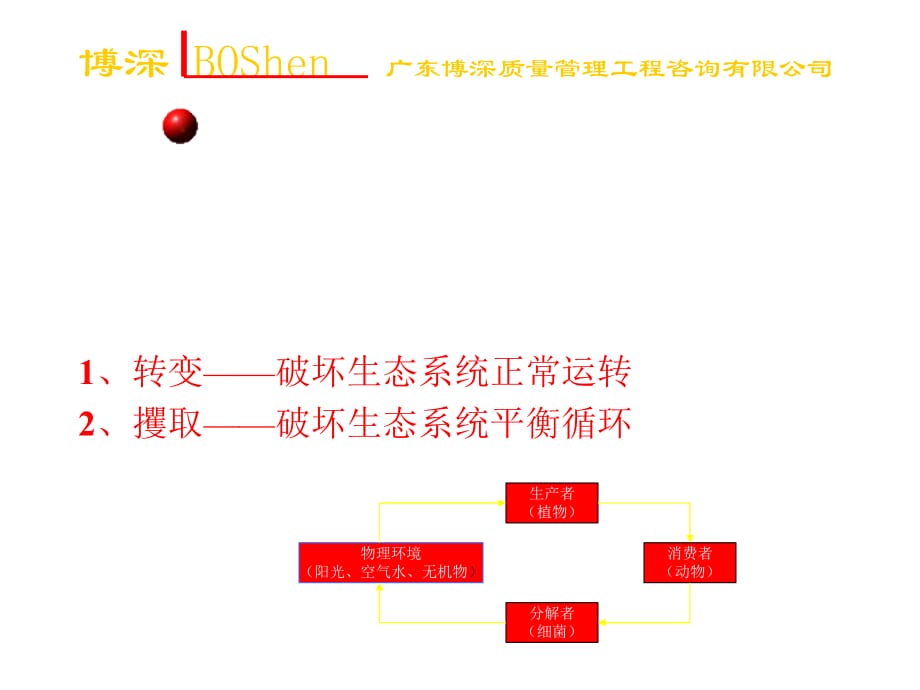 202X年ISO14000环境管理体系规范与使用指南_第2页