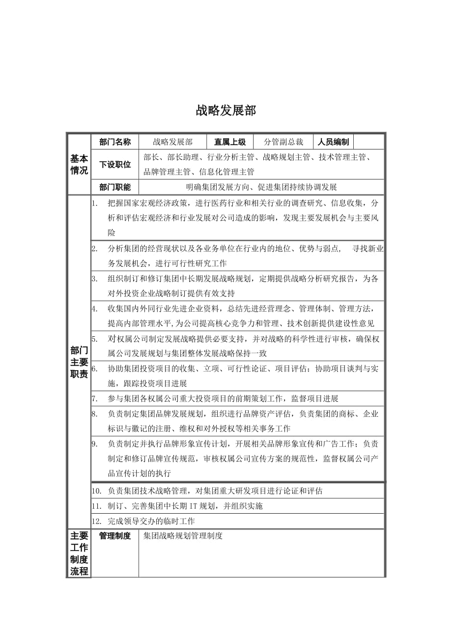 202X年发展战略及职位说明书汇总15_第1页