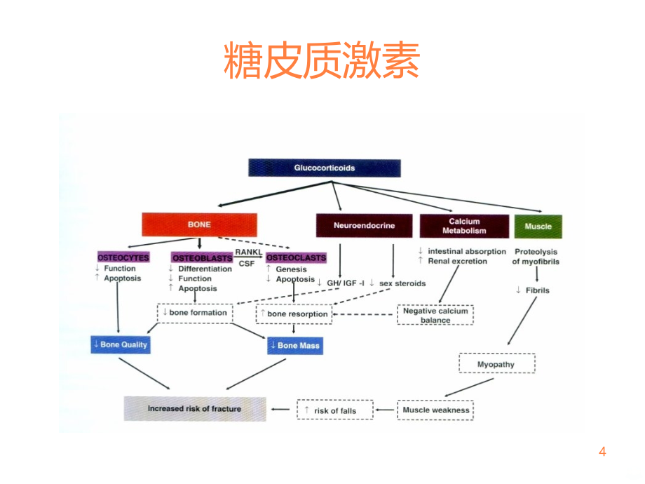 常见风湿病治疗药物及误区ppt课件_第4页