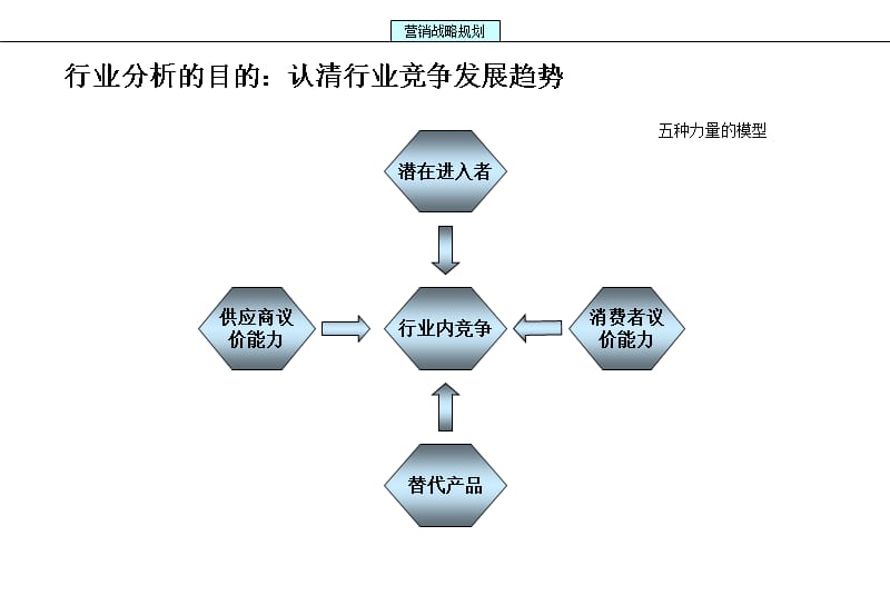 202X年营销战略及营销组织设计_第5页