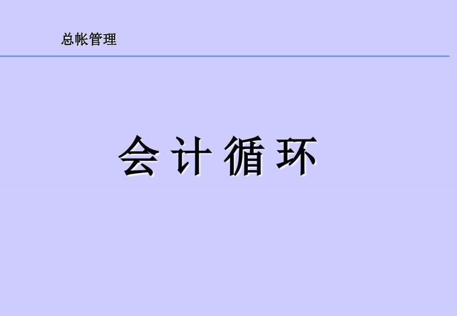 202X年公司总帐管理实务_第5页