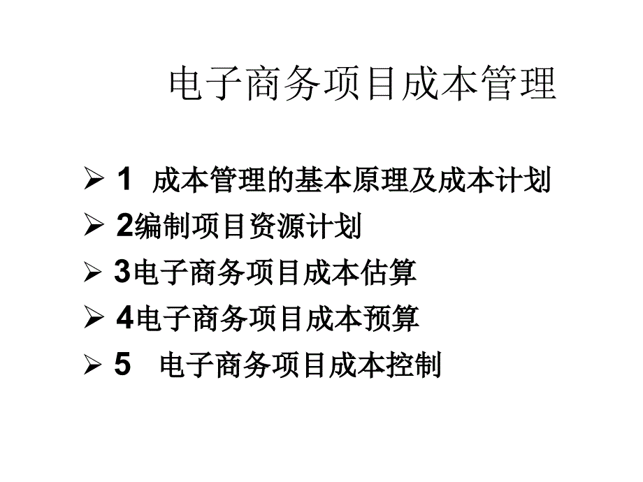 202X年电子商务项目成本管理的相关概念_第1页