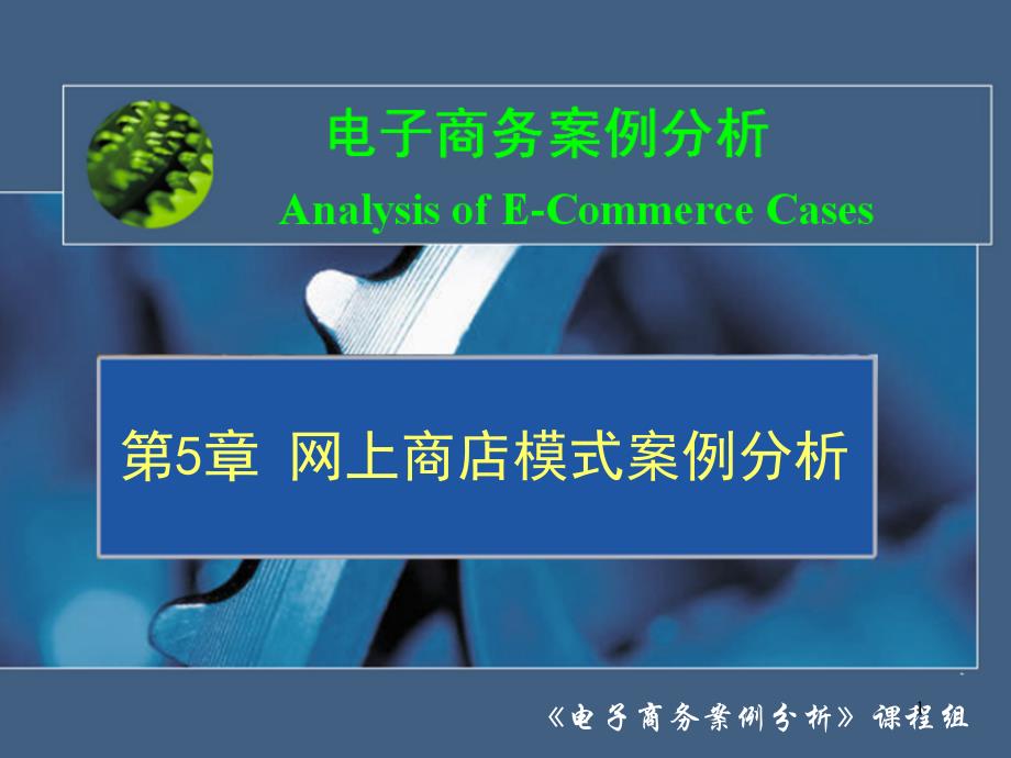 202X年网上商店营销模式案例分析_第1页