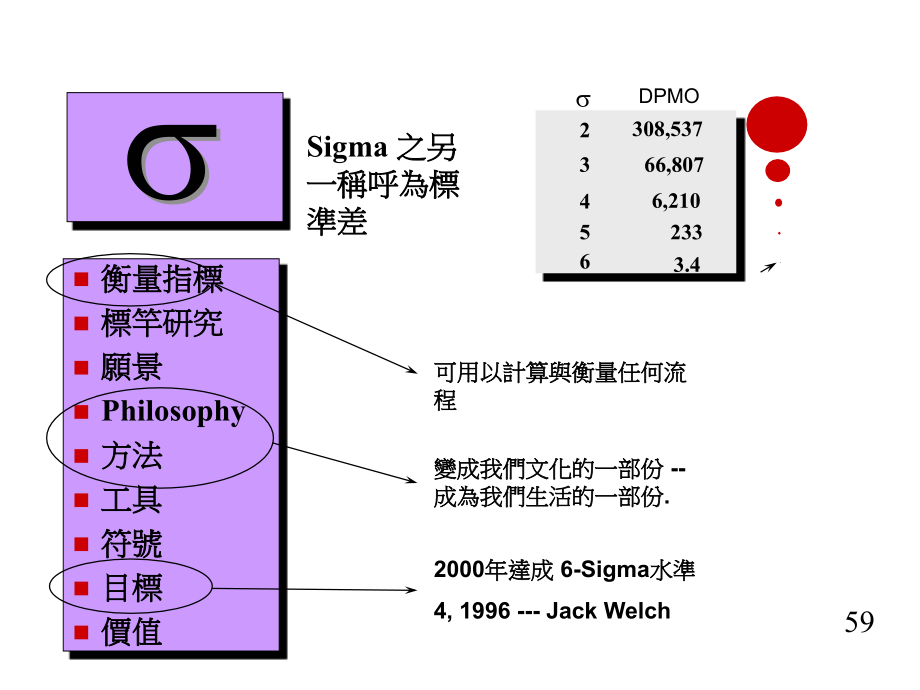 202X年六西格玛管理的执行步骤_第4页