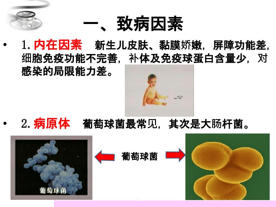 新生儿败血症完整ppt课件_第3页