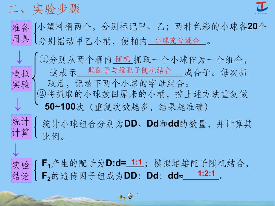 性状分离比模拟实验ppt课件_第3页