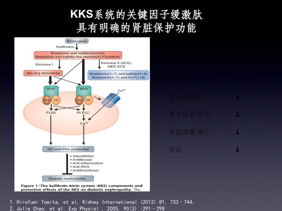 血透患者血压的管理ppt课件_第4页