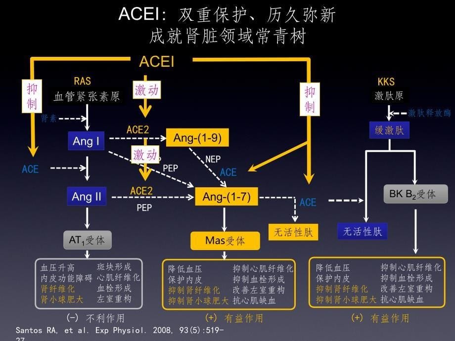 血透患者血压的管理ppt课件_第5页