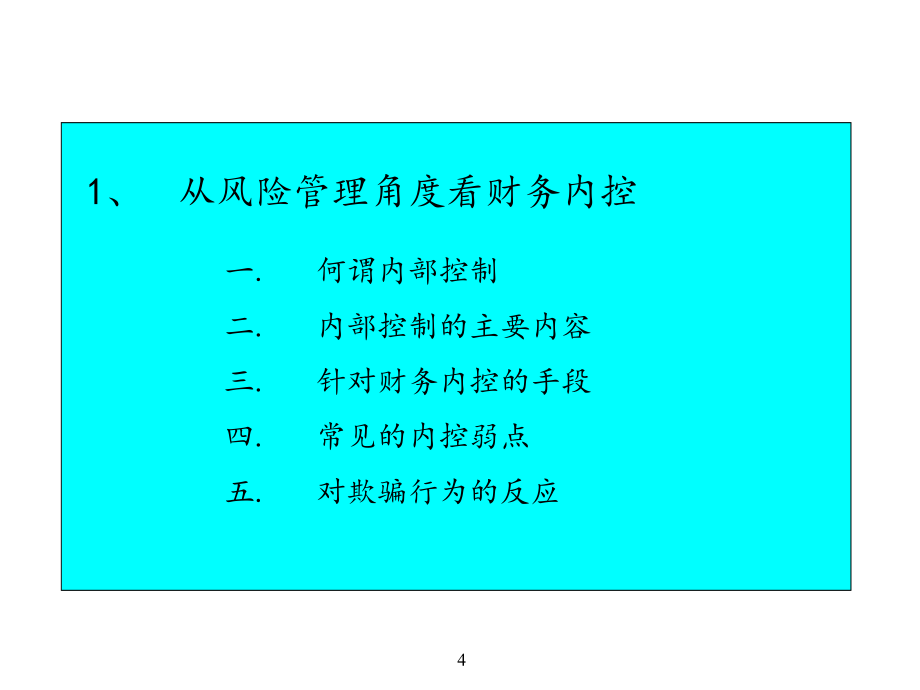 202X年从风险管理角度看财务内控研讨_第4页