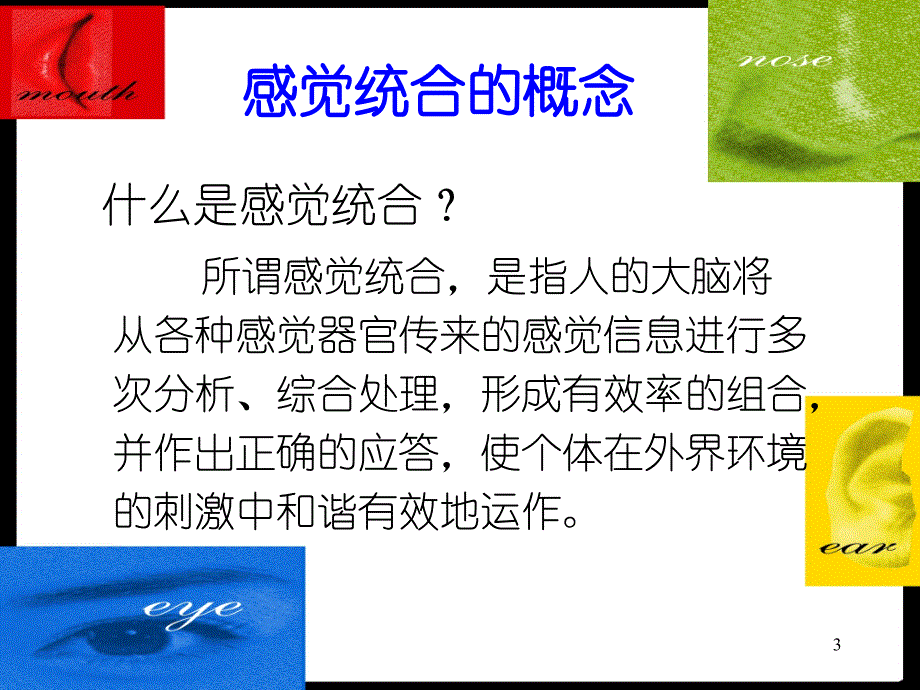 感觉统合训练PPT演示幻灯片_第3页