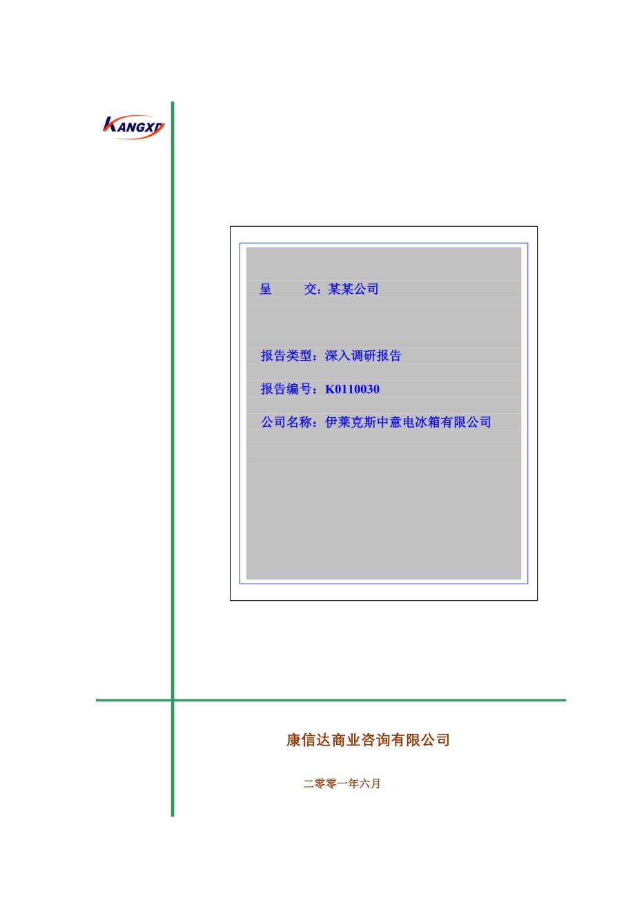 202X年伊莱克斯有限公司深入调研报告_第1页