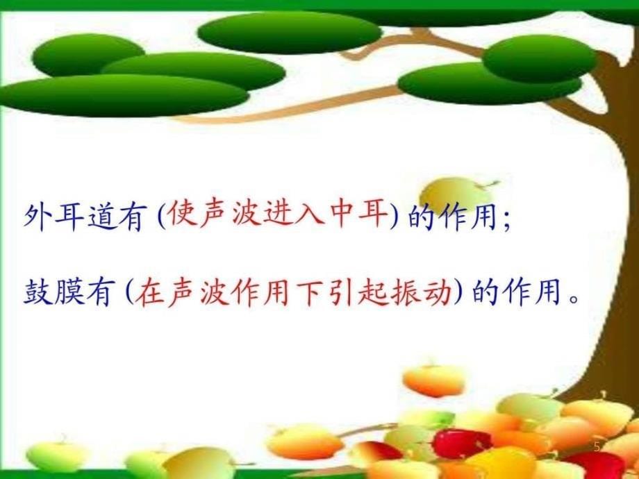 耳朵的科学PPT课件_第5页