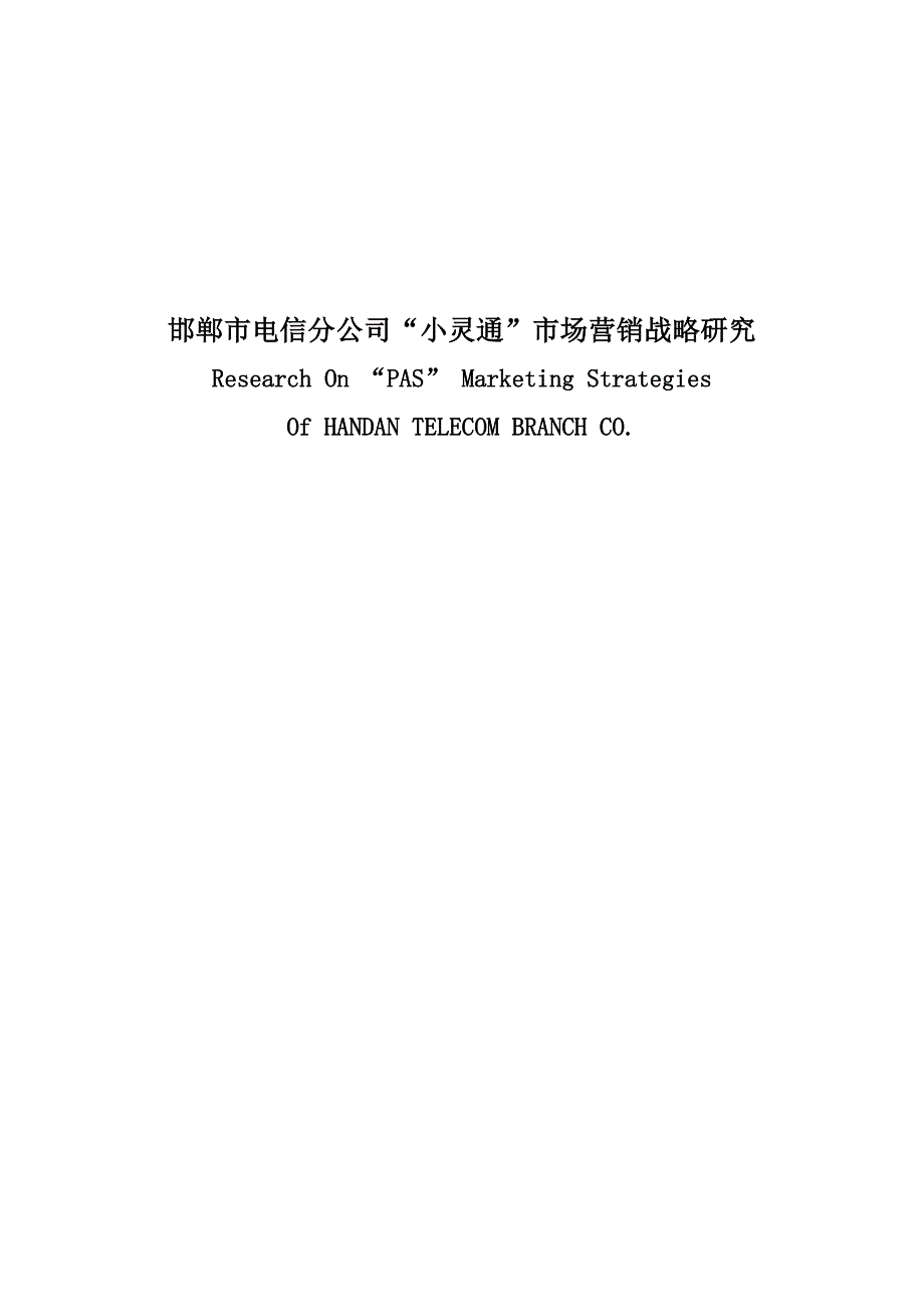 202X年电信分公司小灵通市场营销战略研究报告_第1页