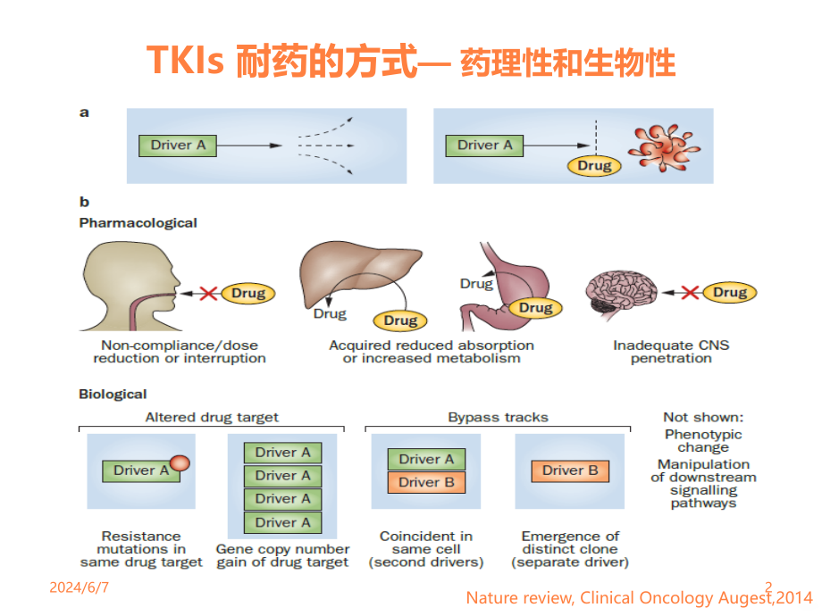 TKI耐药后治疗策略研究进展ppt课件_第2页