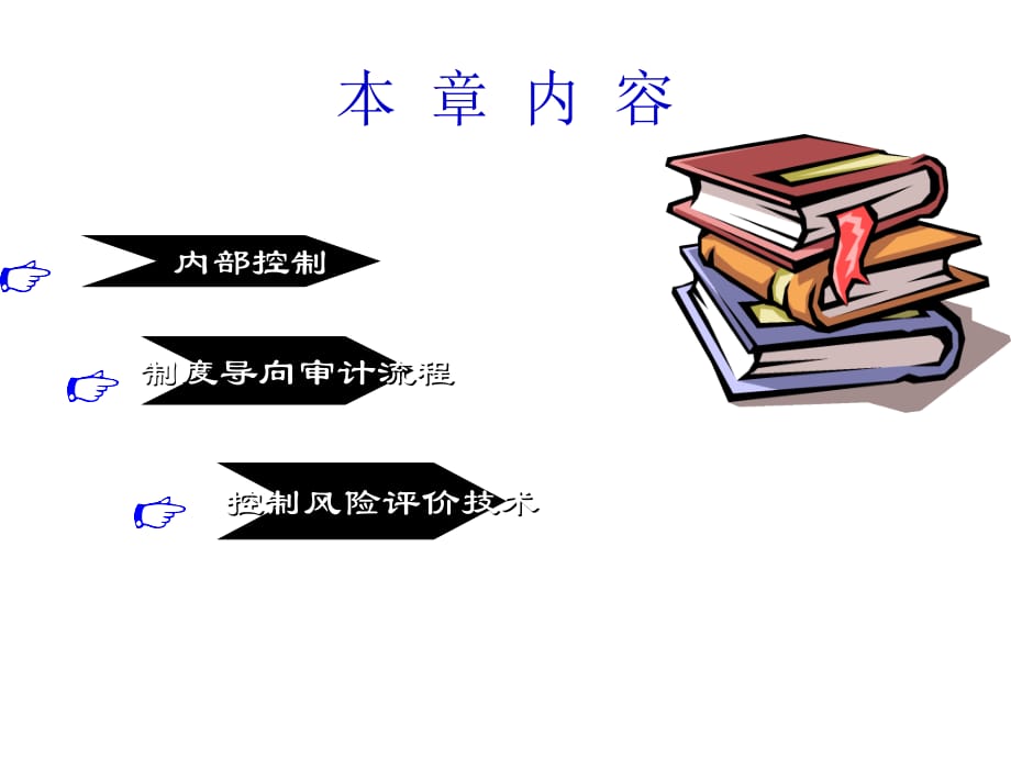 202X年以制度为导向的审计流程与风险评价技术_第2页