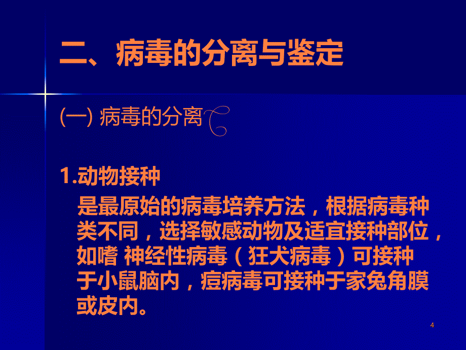 病毒感染的诊断与防治 - ppt课件_第4页