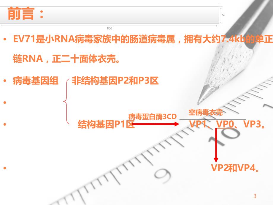 病毒亚型重组病毒样ppt课件_第3页