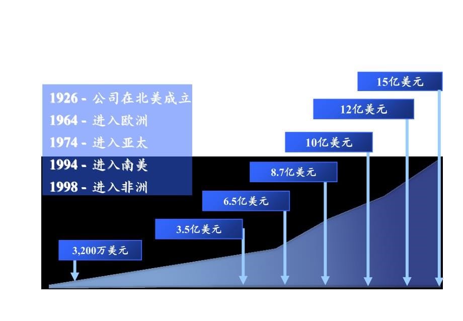 202X年某企业人力资源战略理论_第5页