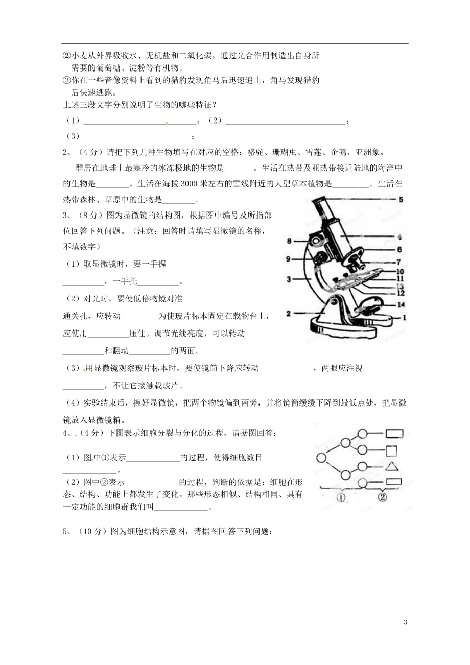 云南省景洪市第一中学2012-2013学年七年级生物上学期期中测试试题 新人教版.doc_第3页