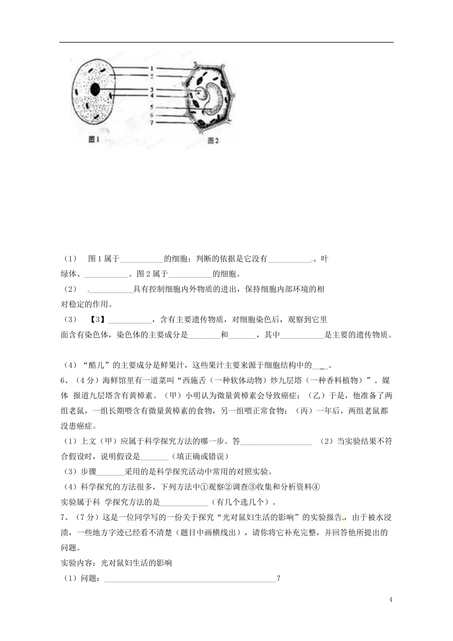 云南省景洪市第一中学2012-2013学年七年级生物上学期期中测试试题 新人教版.doc_第4页