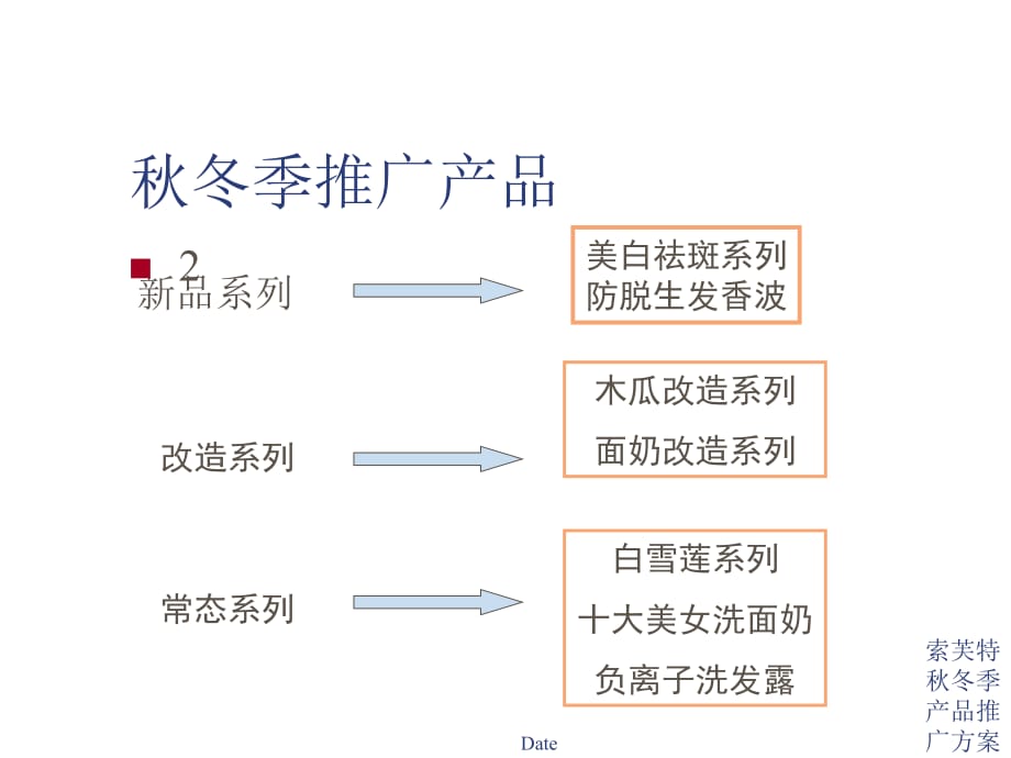 202X年某知名化妆品秋冬季产品推广方案_第2页