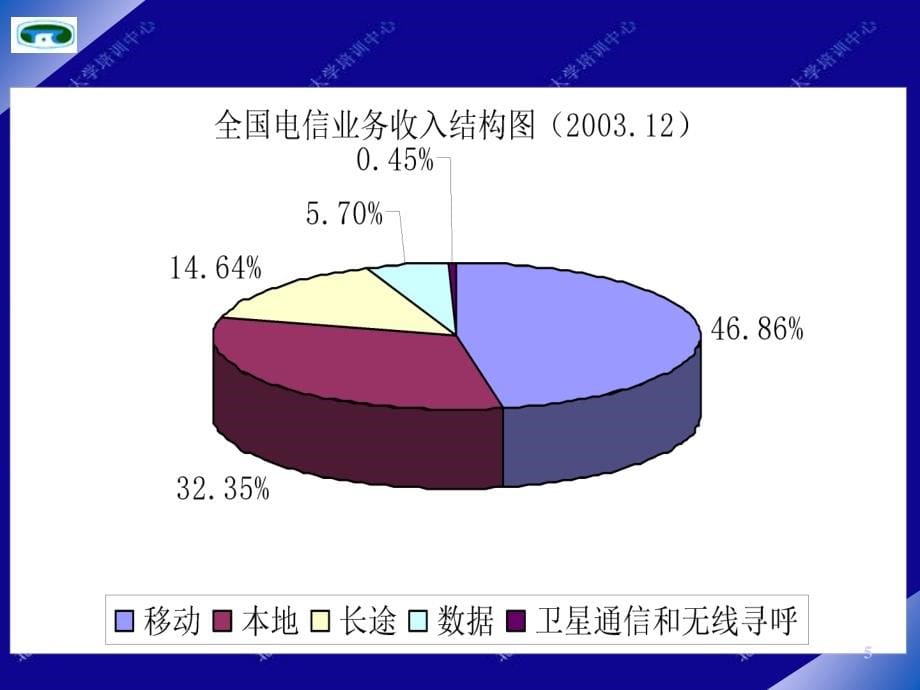 202X年电信服务营销规划_第5页