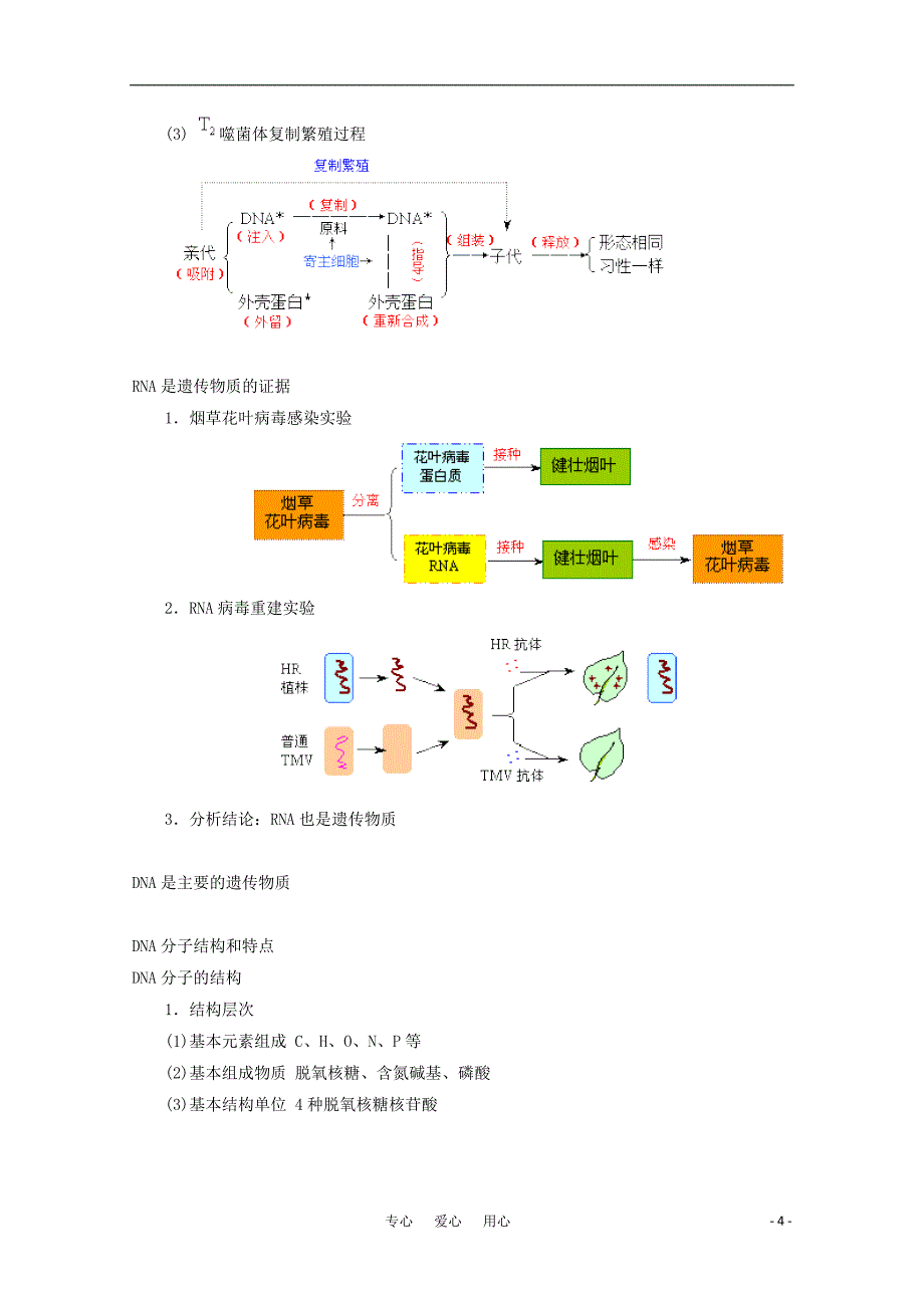 高中生物 第4章《遗传的分子基础》教案 苏教版必修2.doc_第4页