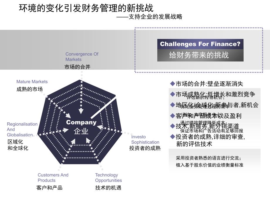 202X年某集团财务管理解决方案案例_第2页