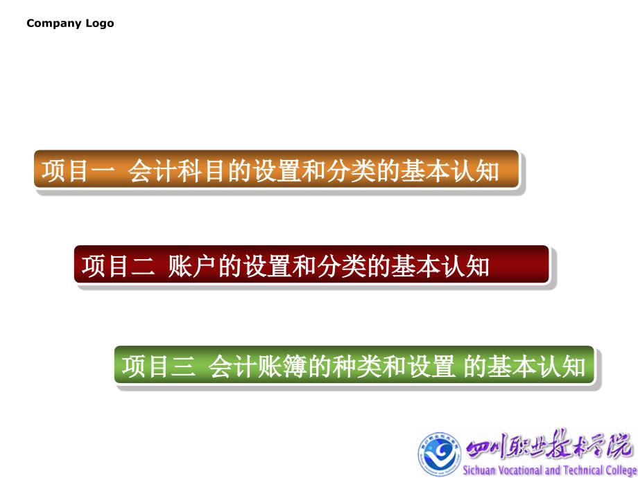 202X年会计科目及账户的建立_第4页