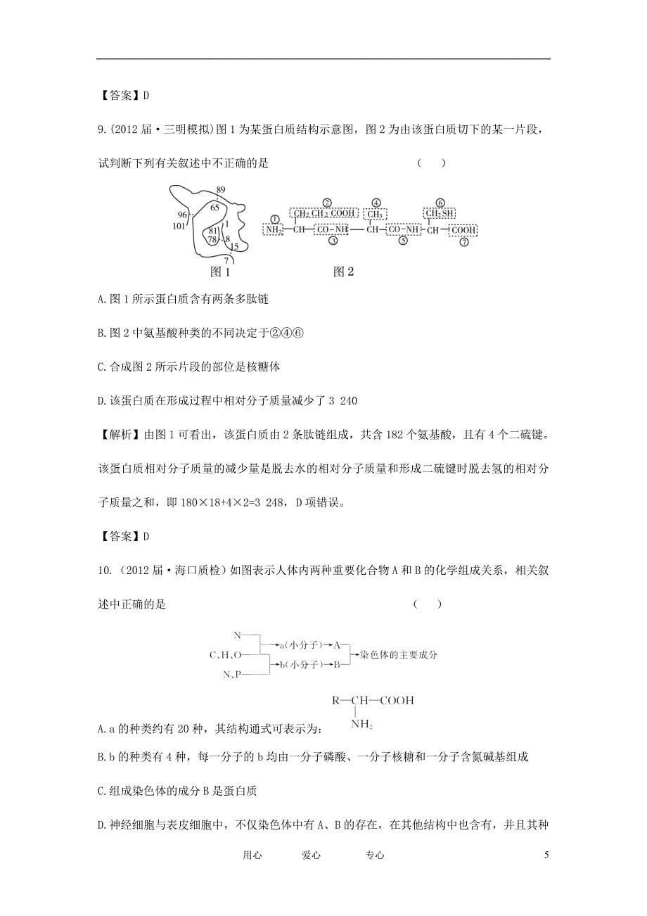 【立体设计】2013届高考生物一轮复习课后限时作业（三） 新人教版必修1.doc_第5页