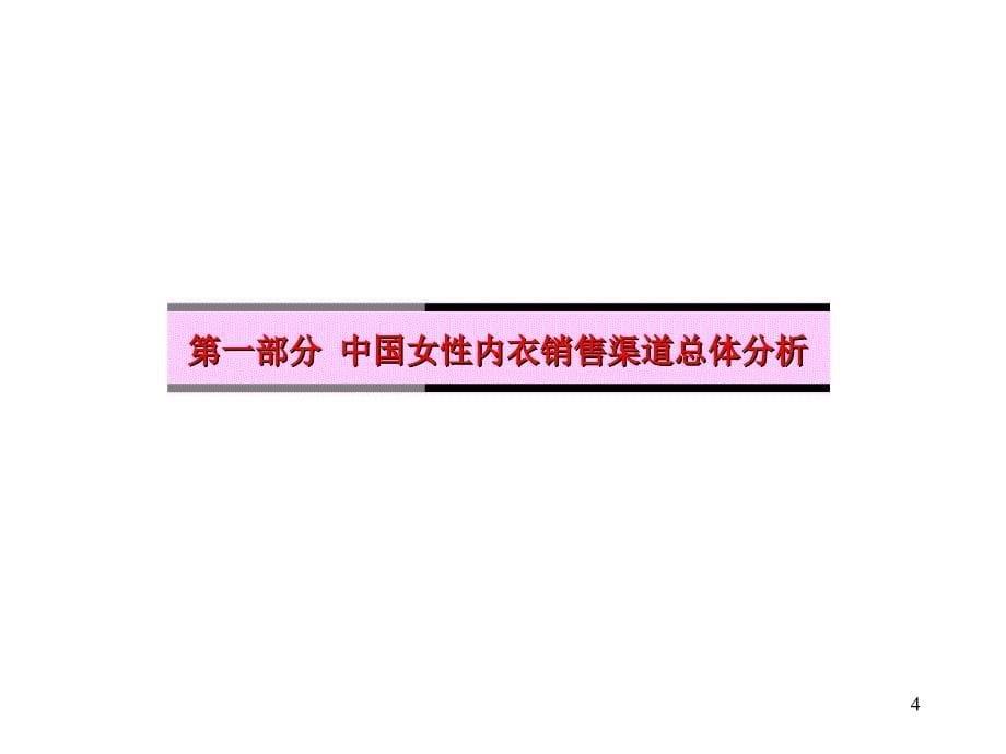 202X年中国女性内衣销售渠道研究报告 (2)_第5页