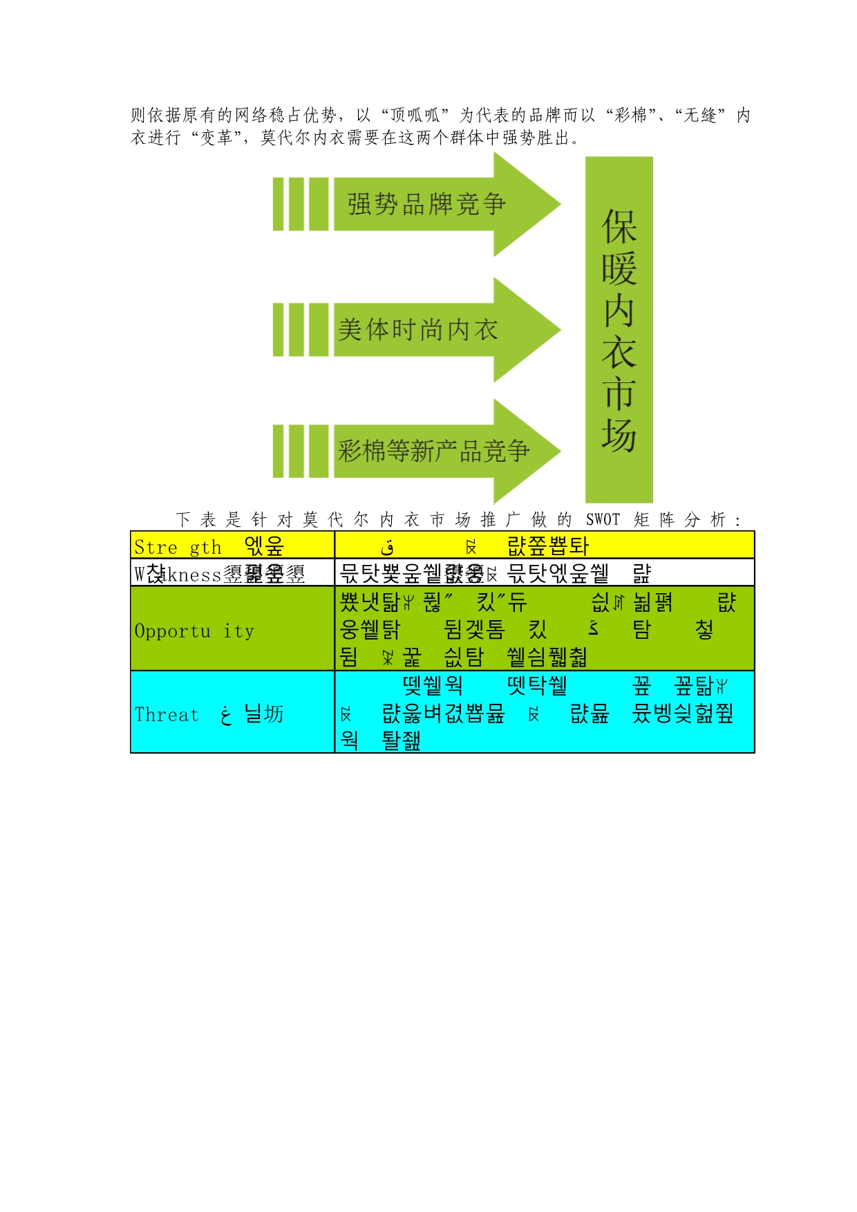 202X年某某情感内衣产品上市与招商营销_第4页